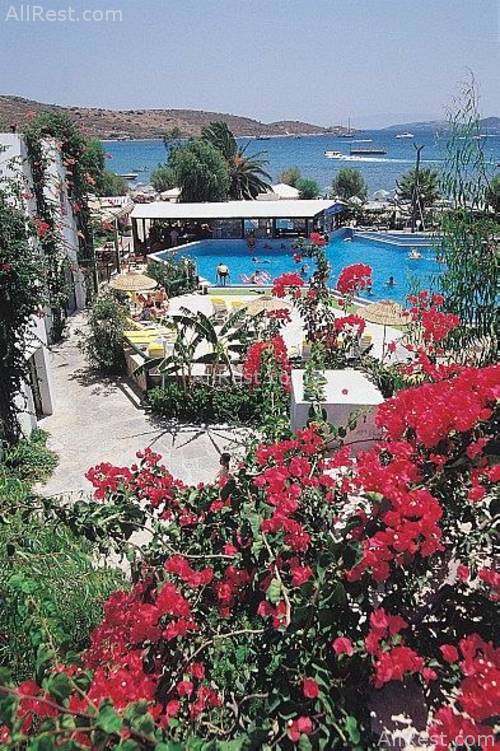Hotel Parkim Palace 7